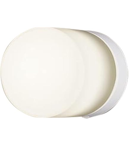 Amazon.co.jp: パナソニック(Panasonic) 小型ブラケットライト